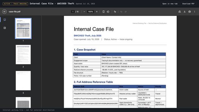 Internal Case File: Wicked Theft preview